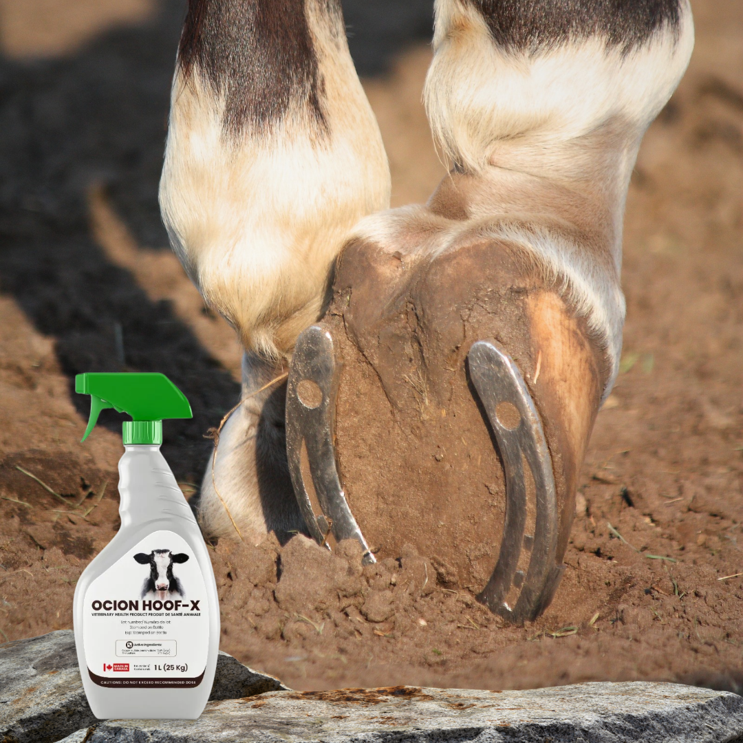 1L Hoof-X Spray