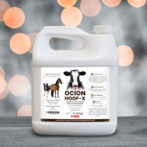 4L Hoof-X Refill
